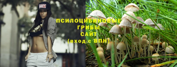 гидропоника Абаза