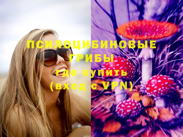 гидропоника Абаза