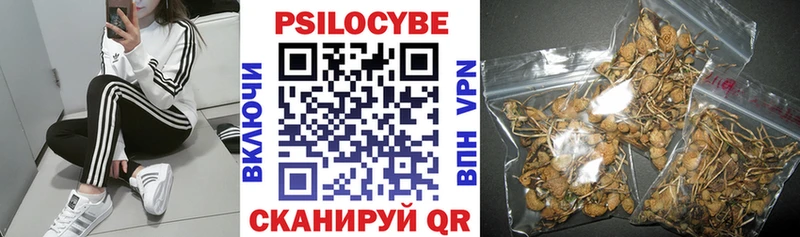 Псилоцибиновые грибы Psilocybine cubensis  сколько стоит  кракен ССЫЛКА  Ильский 