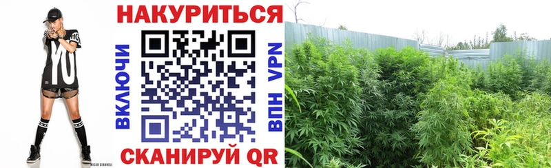 Бошки марихуана Ganja где купить наркотик Ильский